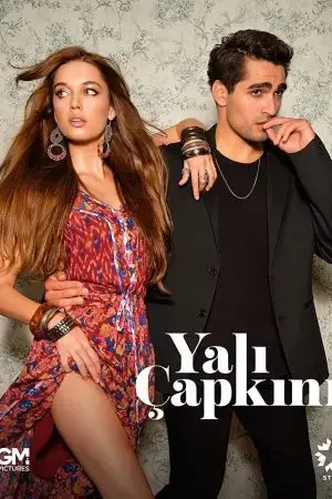 Chim Bói Cá Chim Bói Cá