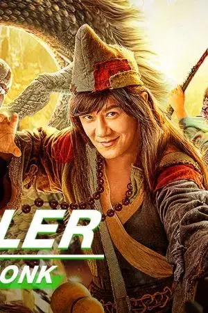 Dolphin Summer Dolphin Summer